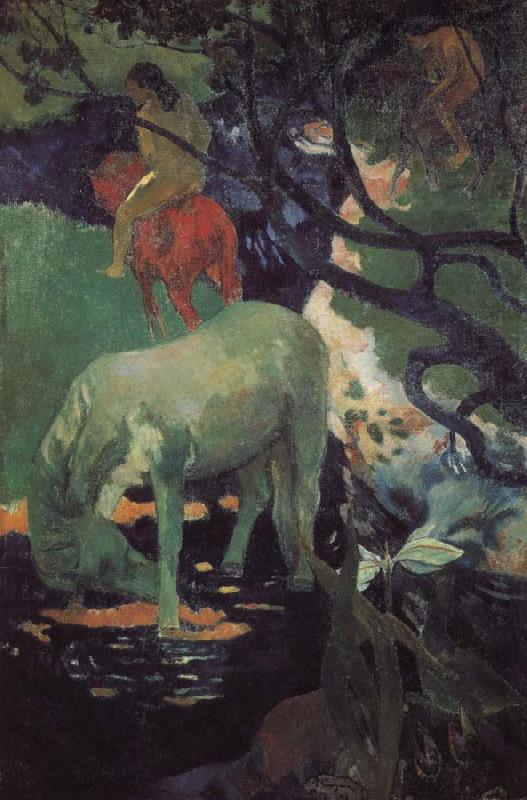 Paul Gauguin Whitehorse china oil painting image